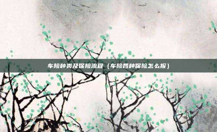 车险种类及保险流程（车险各种保险怎么报）