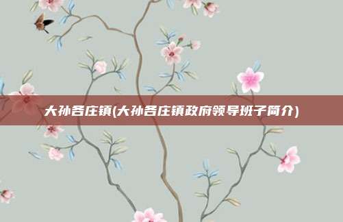 大孙各庄镇(大孙各庄镇政府领导班子简介)