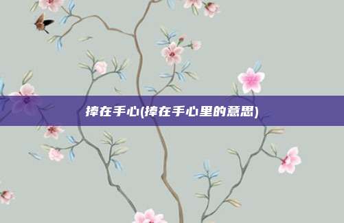 捧在手心(捧在手心里的意思)