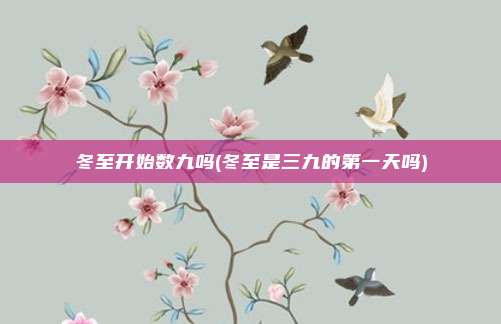 冬至开始数九吗(冬至是三九的第一天吗)