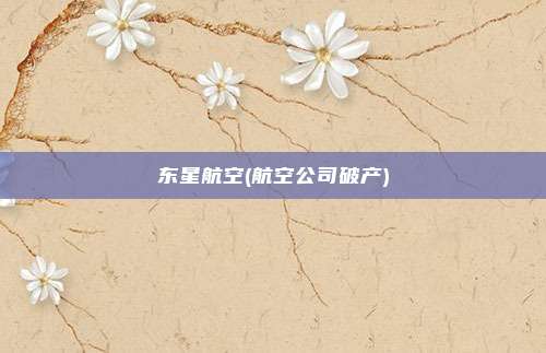 东星航空(航空公司破产)