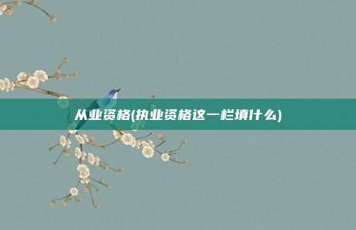 从业资格(执业资格这一栏填什么)