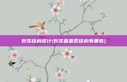 包装结构设计(包装盒盒型结构有哪些)