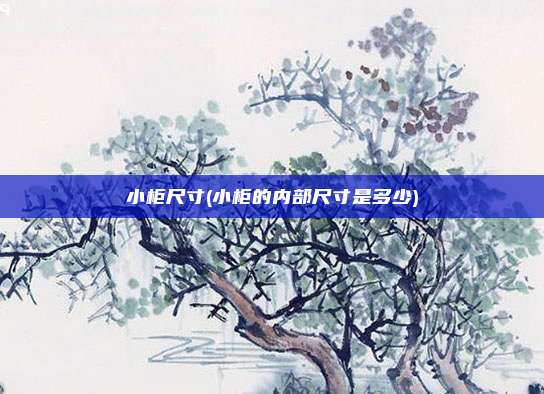 小柜尺寸(小柜的内部尺寸是多少)