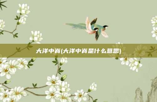 大洋中脊(大洋中脊是什么意思)