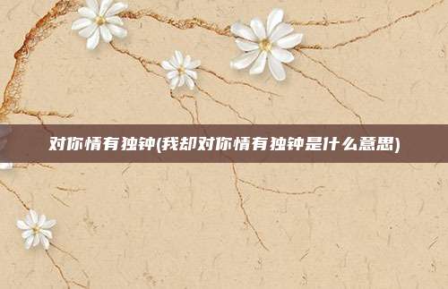 对你情有独钟(我却对你情有独钟是什么意思)