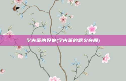 学古筝的好处(学古筝的意义在哪)