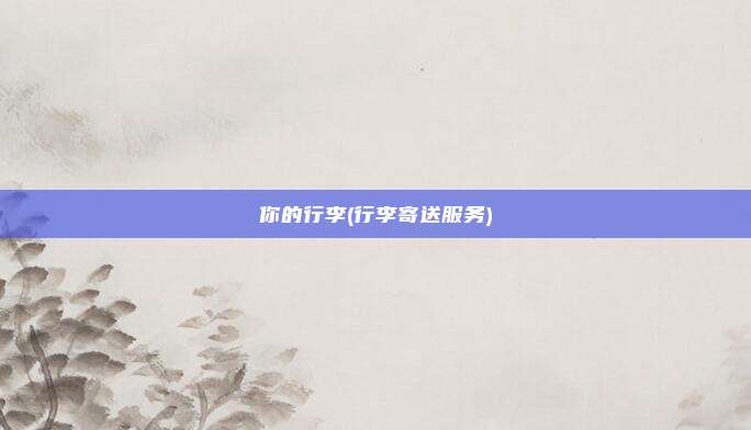 你的行李(行李寄送服务)