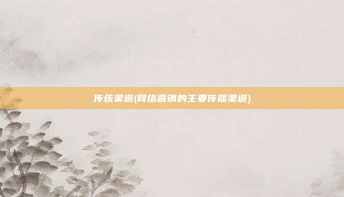 传统渠道(网络营销的主要传播渠道)
