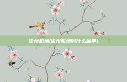 徐州机场(徐州机场叫什么名字)