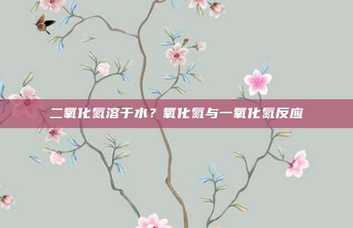二氧化氮溶于水？氧化氮与一氧化氮反应