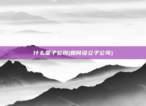 什么是子公司(如何设立子公司)