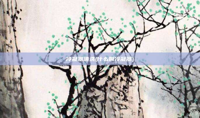 冷凝器清洗(什么叫冷凝器)