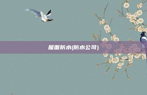 屋面防水(防水公司)