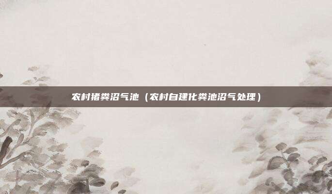 农村猪粪沼气池（农村自建化粪池沼气处理）