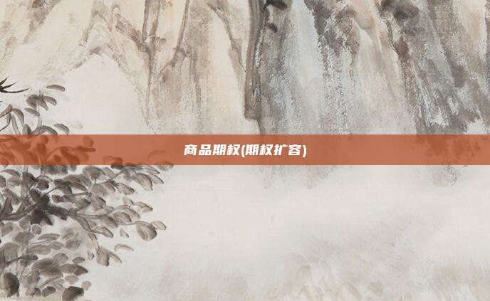 商品期权(期权扩容)
