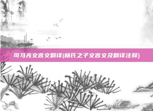 司马光文言文翻译(杨氏之子文言文及翻译注释)
