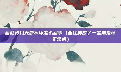 西红柿几天都不坏怎么回事（西红柿放了一星期没坏正常吗）
