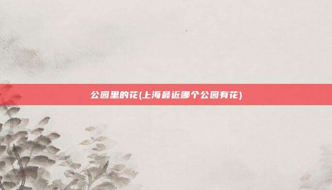 公园里的花(上海最近哪个公园有花)