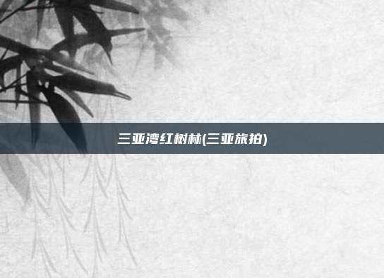 三亚湾红树林(三亚旅拍)