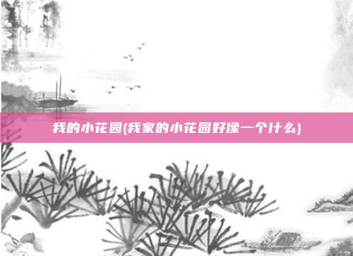 我的小花园(我家的小花园好像一个什么)