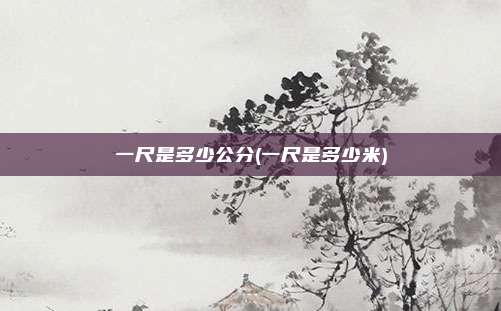 一尺是多少公分(一尺是多少米)