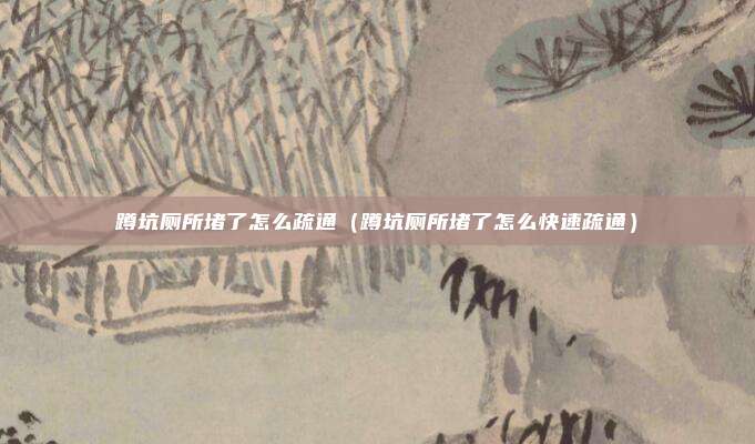 蹲坑厕所堵了怎么疏通（蹲坑厕所堵了怎么快速疏通）