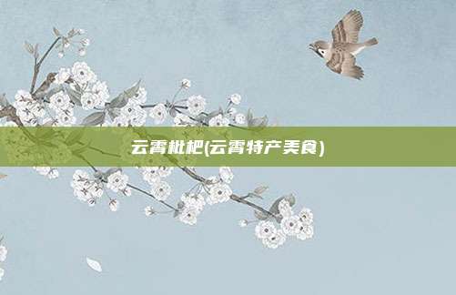 云霄枇杷(云霄特产美食)