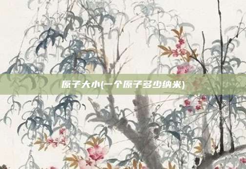 原子大小(一个原子多少纳米)