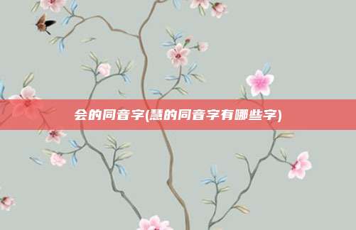 会的同音字(慧的同音字有哪些字)