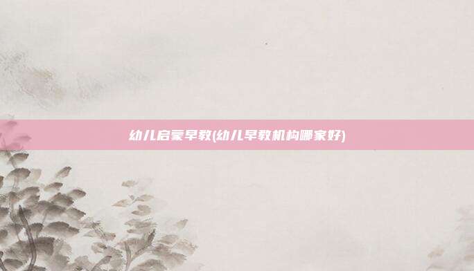 幼儿启蒙早教(幼儿早教机构哪家好)