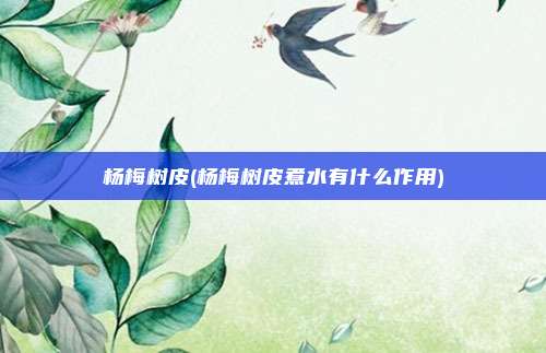 杨梅树皮(杨梅树皮煮水有什么作用)