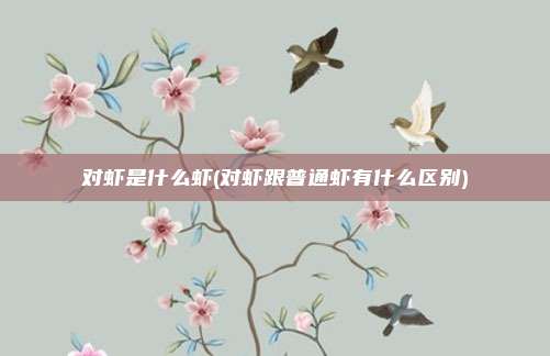 对虾是什么虾(对虾跟普通虾有什么区别)
