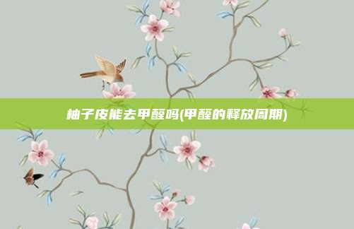 柚子皮能去甲醛吗(甲醛的释放周期)