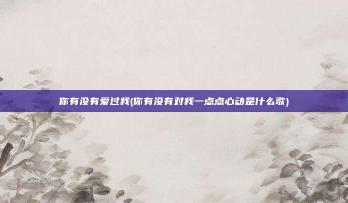 你有没有爱过我(你有没有对我一点点心动是什么歌)