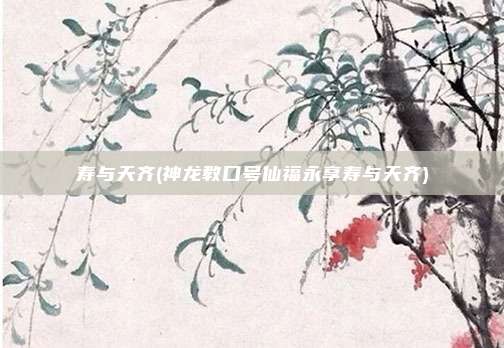 寿与天齐(神龙教口号仙福永享寿与天齐)