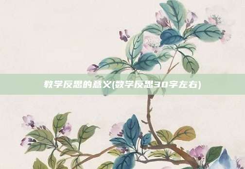 教学反思的意义(数学反思30字左右)