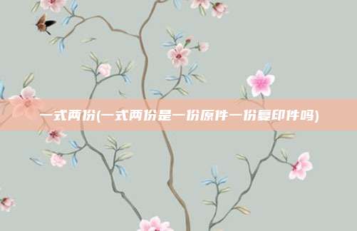一式两份(一式两份是一份原件一份复印件吗)
