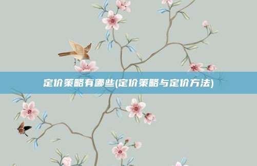定价策略有哪些(定价策略与定价方法)
