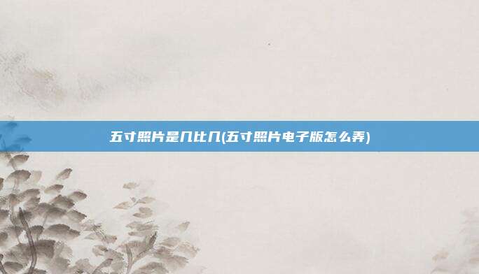 五寸照片是几比几(五寸照片电子版怎么弄)