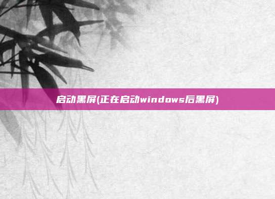 启动黑屏(正在启动windows后黑屏)