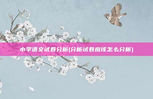 小学语文试卷分析(分析试卷应该怎么分析)