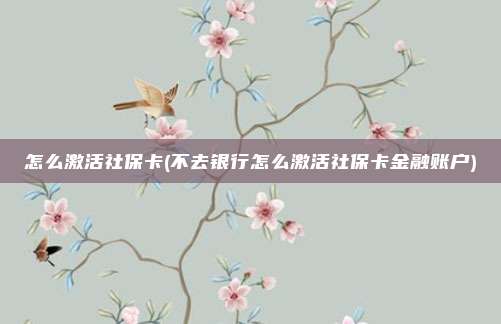 怎么激活社保卡(不去银行怎么激活社保卡金融账户)