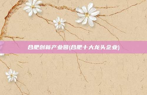 合肥创新产业园(合肥十大龙头企业)