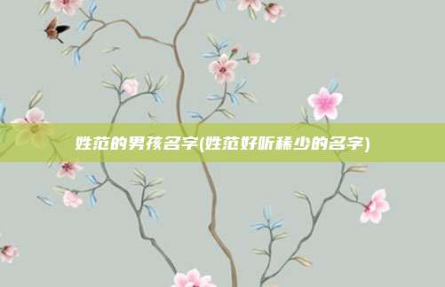 姓范的男孩名字(姓范好听稀少的名字)