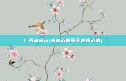 广西来宾市(来宾市是属于柳州市吗)