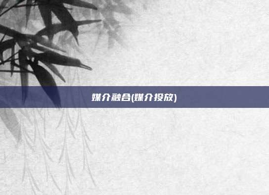 媒介融合(媒介投放)