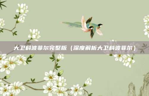 大卫科波菲尔完整版（深度解析大卫科波菲尔）