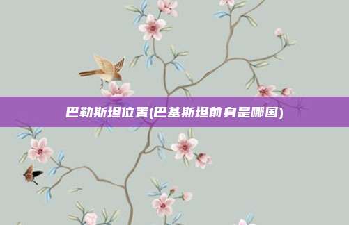 巴勒斯坦位置(巴基斯坦前身是哪国)