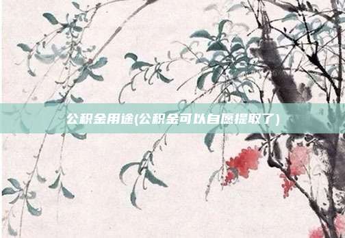 公积金用途(公积金可以自愿提取了)